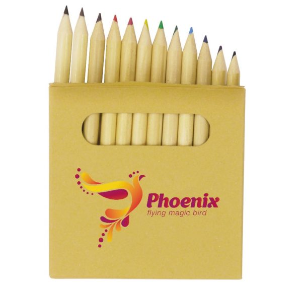 12 Colour pencil set - Brown box