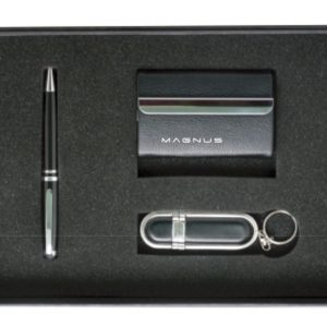 Gift set with Pen, 8 Gb Leather USB and card holder
