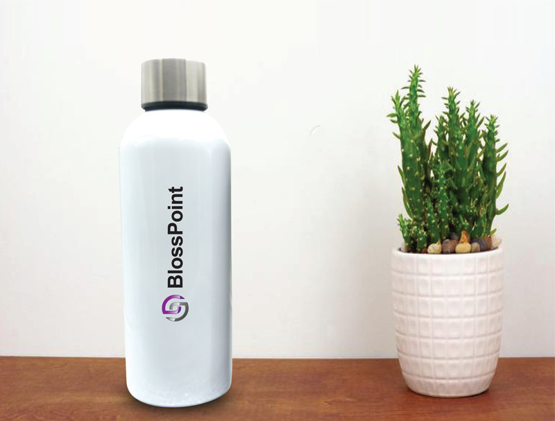 Double layer insulated bottle with Silver Cap