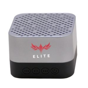 Bluetooth speaker with fm micro sd card connectivity