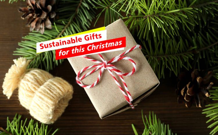 Sustainable Gifts for Christmas