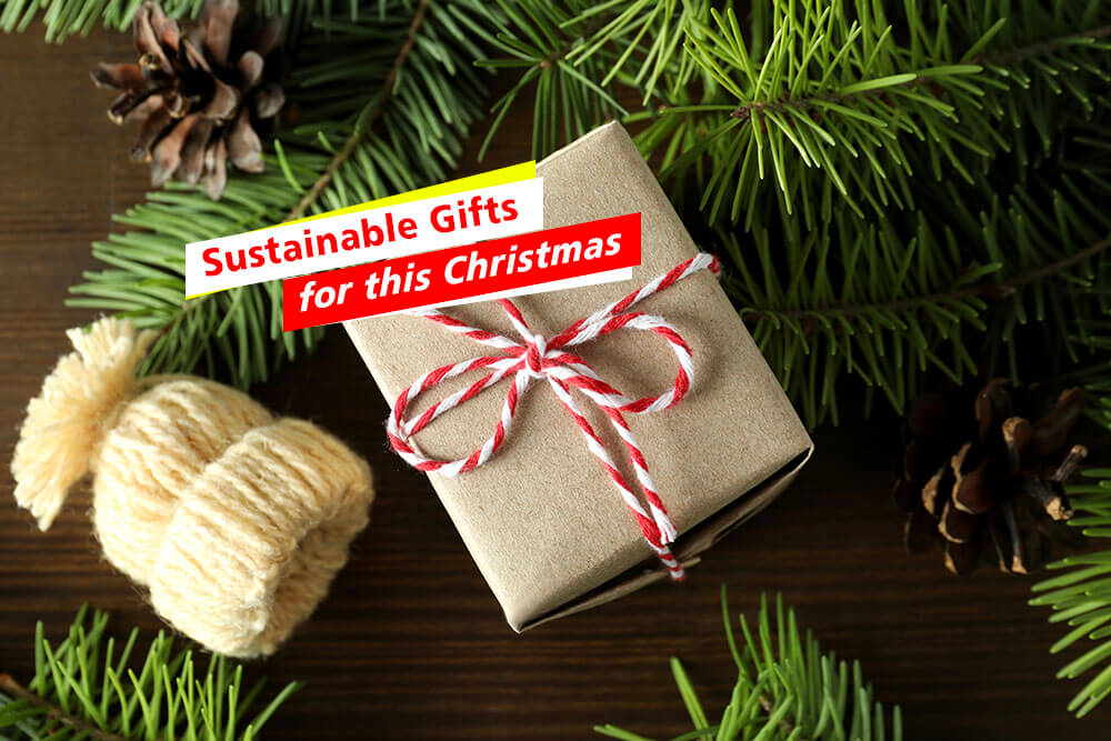 Top 10 Sustainable Gifts for this Christmas
