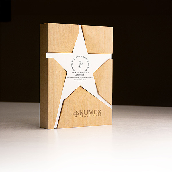 Wooden Trophy With Metal Star